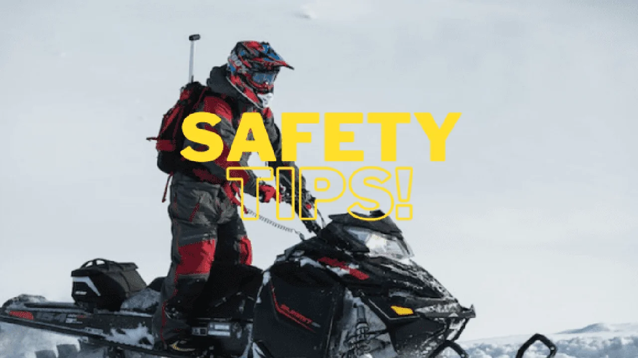 Two mint chocolate milkshakes with whipped cream and green sprinkles.