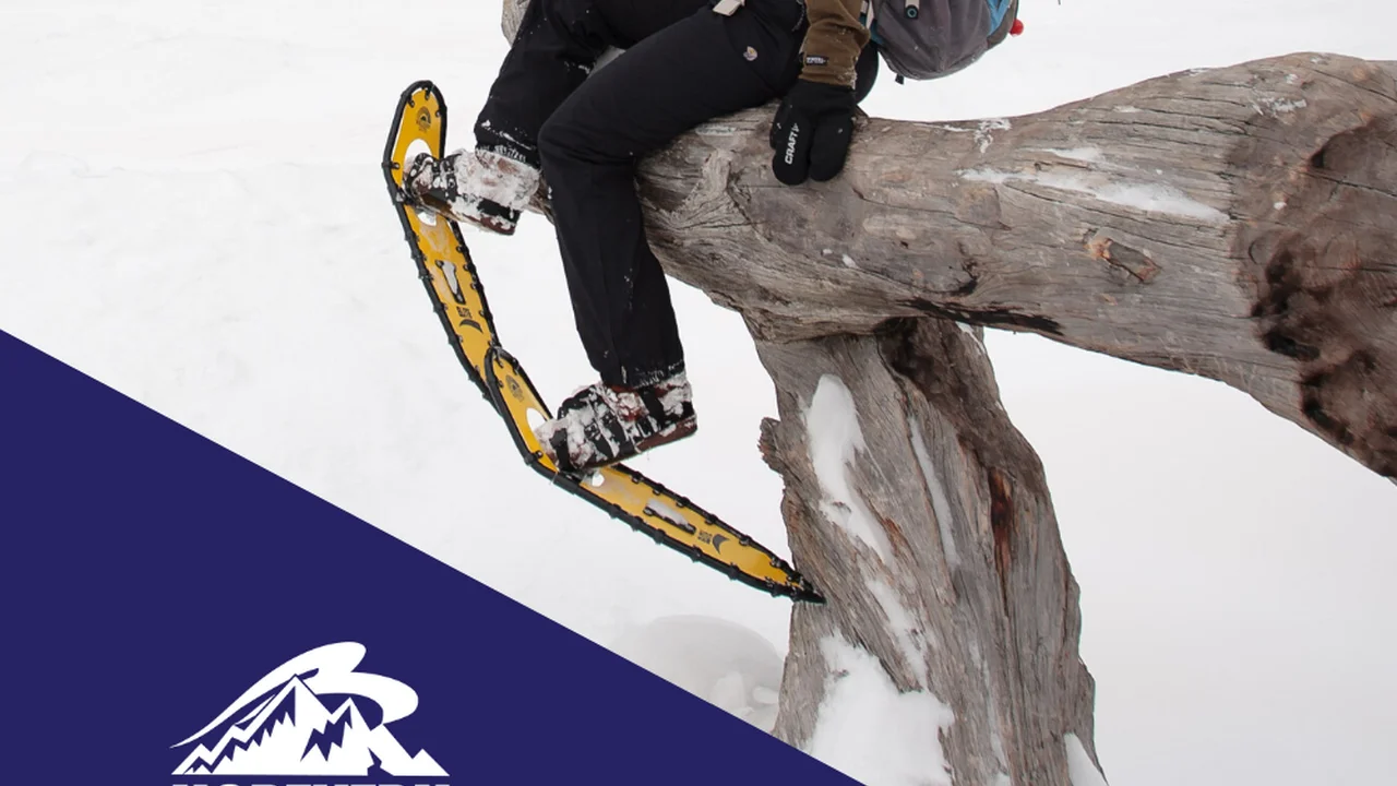 Close up on a plate of mashed potatoes, topped with baked pork chops with cream of mushroom soup, and a side of green beans.