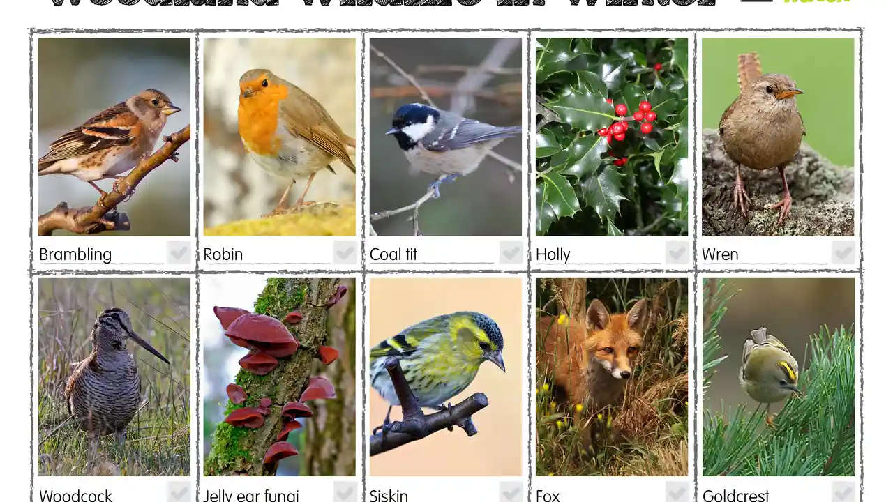 overhead view of corned beef sliced and on a platter with cabbage, potatoes, and carrots